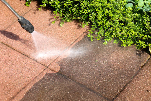 Best Exterior Home Cleaning  in Middleborough Center, MA